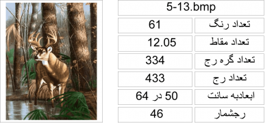 نقشه کدی جانوران،k5-13